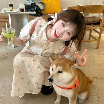 求偶记